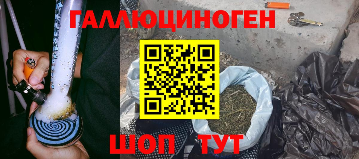 Псилоцибиновые грибы Psilocybe  Галлюциногенные грибы Psilocybe  Вход с VPN  купить   Волгоград 
