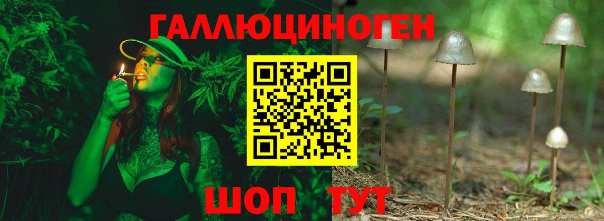 Псилоцибиновые грибы Psilocybine cubensis Волгоград