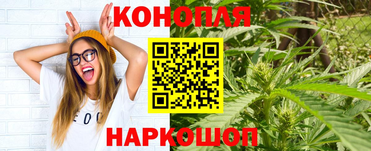 Шишки марихуана ГИДРОПОН Волгоград